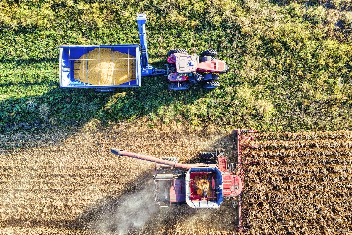 The Most Valuable US Government Grants for Enterprises in High-Growth Sectors | Enterprise Chronicles