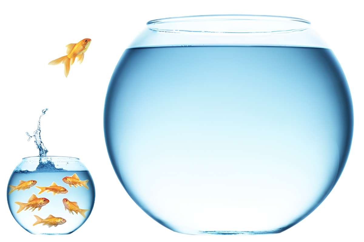 Blue Ocean Strategy Secrets That Make Rivals Irrelevant | Enterprise Chronicles